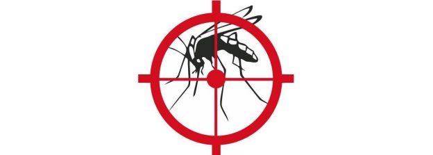 Mosquito Control