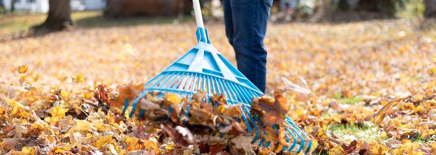 Michigan Fall Lawn Maintenance