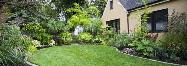 Low Maintenance Landscaping Tips