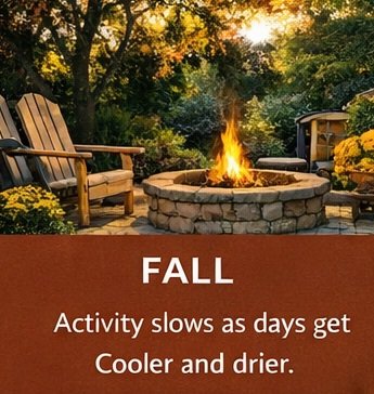 Fall mosquito control tips