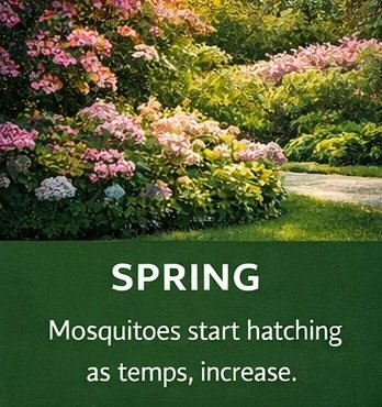 Spring mosquito control tips