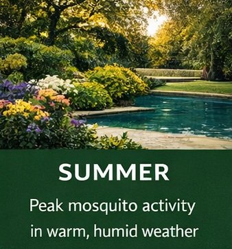 Summer mosquito control tips